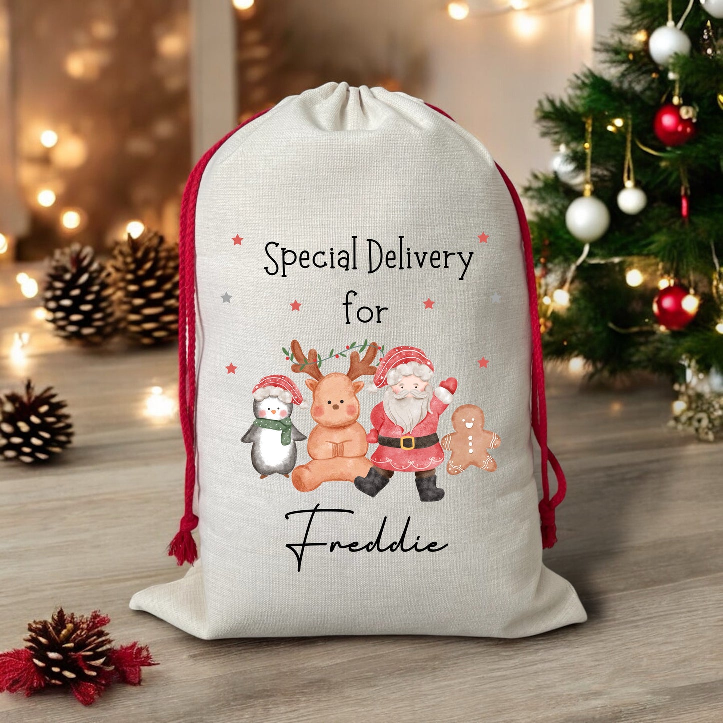 Santa and Friends Personalised Christmas Sack